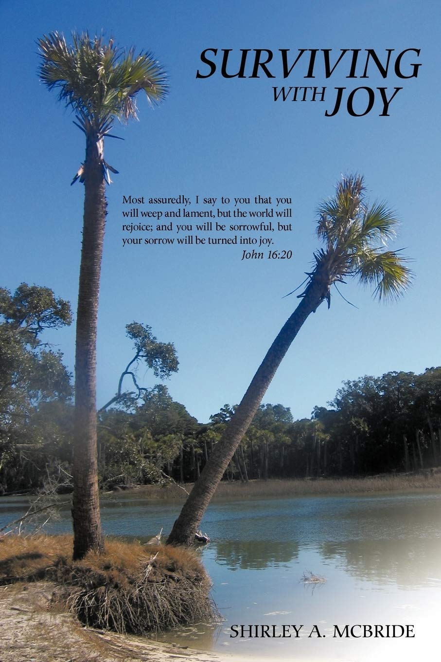 Surviving With Joy: Most assuredly, I say to you that you will weep and lament, but the world will rejoice; and you will be sorrowful, but your sorrow will be turned into joy. John 16:20. Paperback