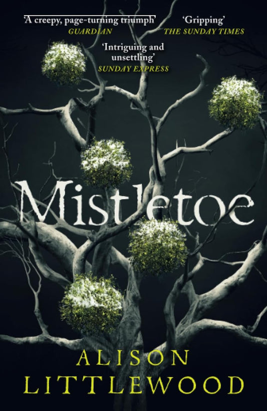 Mistletoe: 'The perfect read for frosty nights' HEAT Paperback