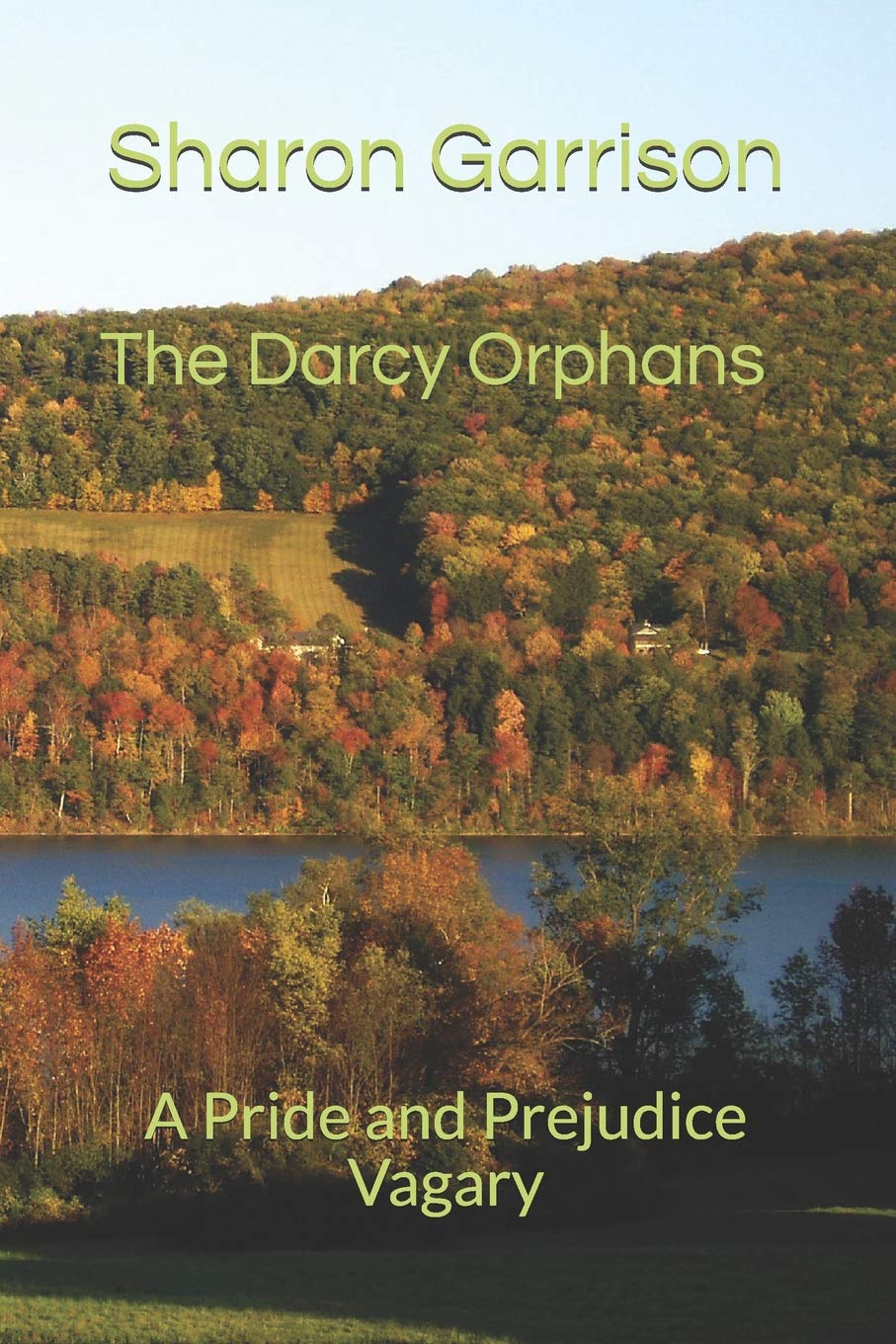 The Darcy Orphans: A Pride and Prejudice Vagary  - Paperback
