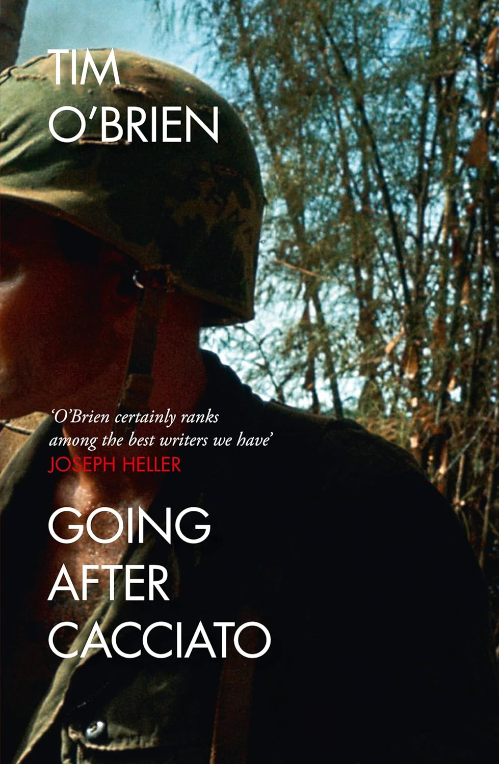 Going After Cacciato: Tim O'Brien Paperback