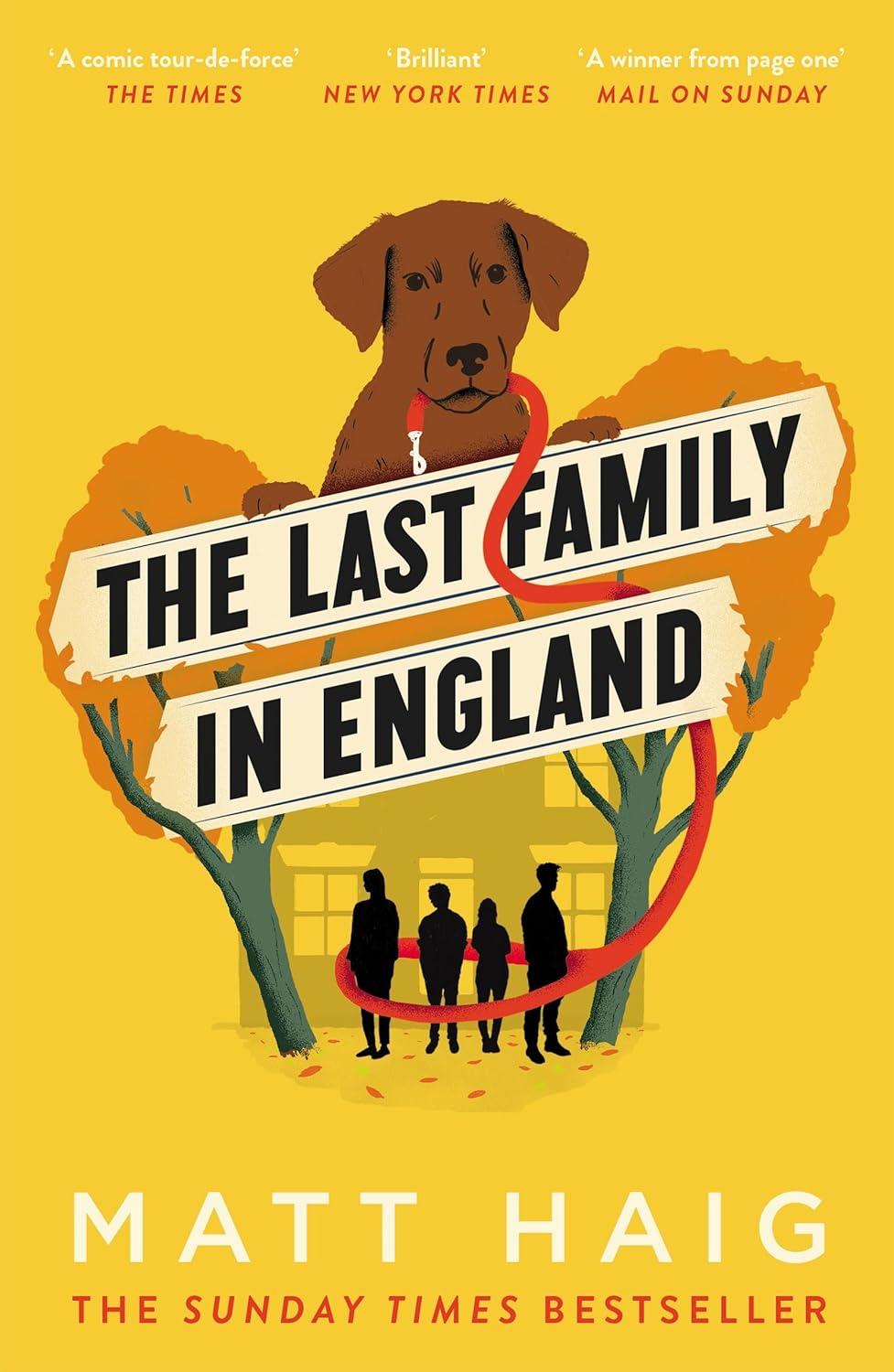 The Last Family in England: Matt Haig Paperback