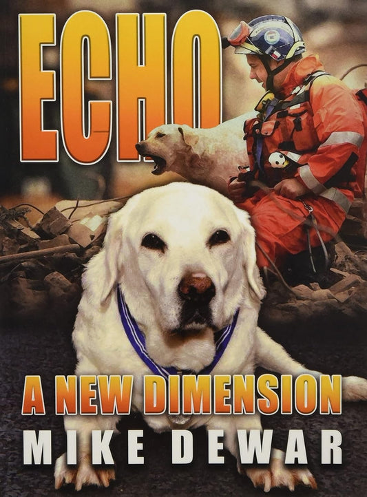 Echo: A New Dimension Paperback