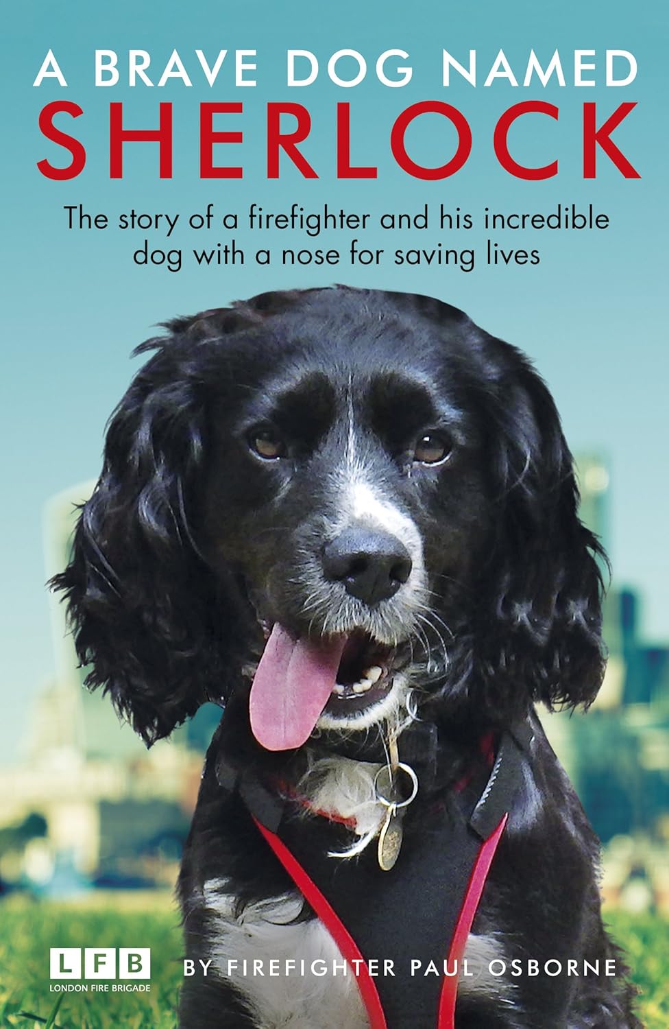 A Brave Dog Named Sherlock Paperback