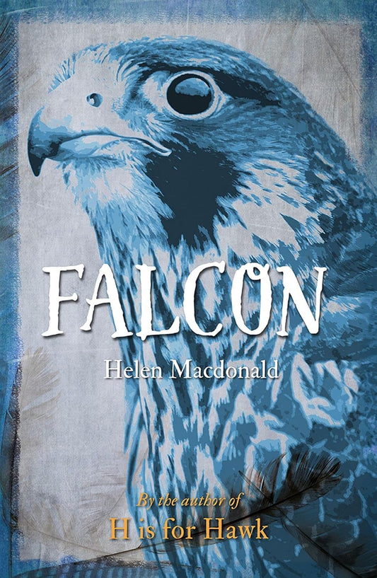 Falcon - Paperback