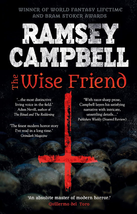 The Wise Friend (Fiction Without Frontiers) Paperback
