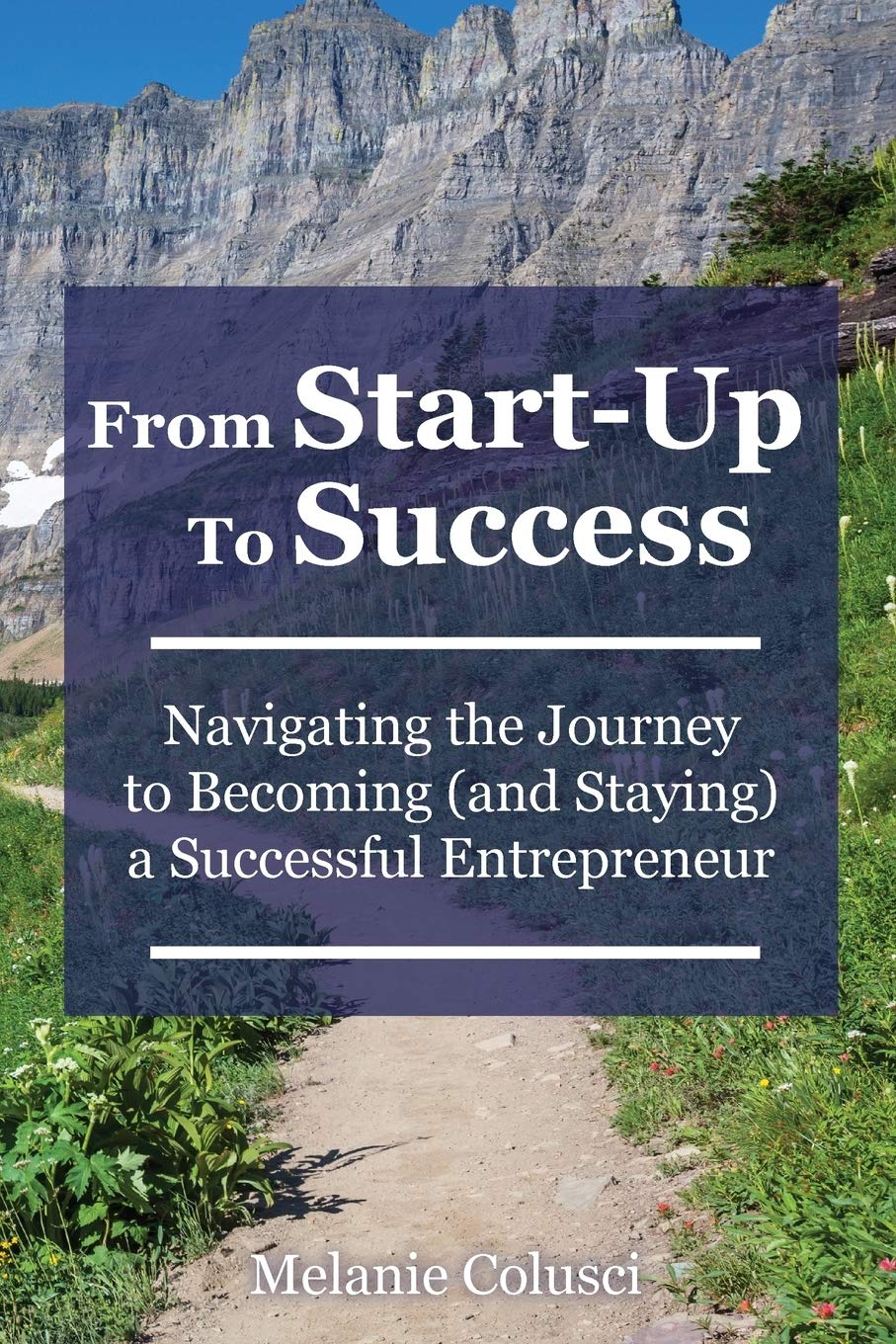 From Start-Up to Success: Navigating the Journey to Becoming (and Staying) a Successful Entrepreneur Paperback