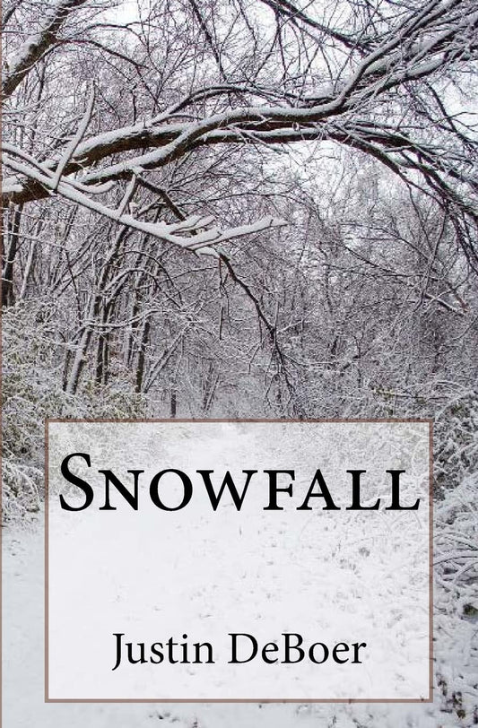 Snowfall  - Paperback