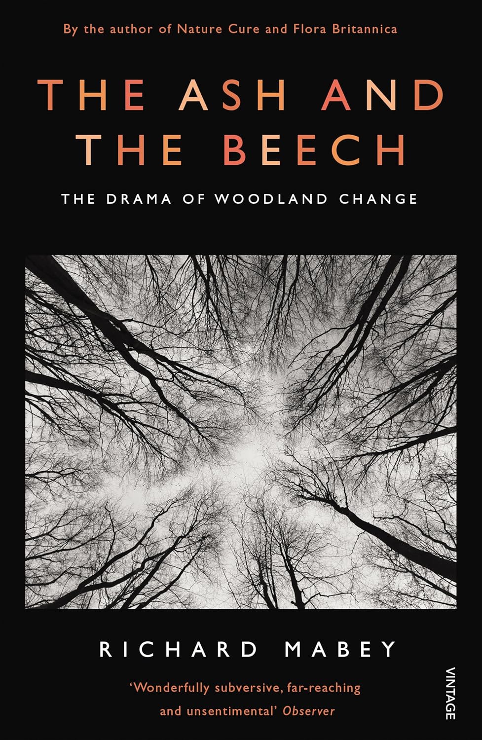 The Ash and The Beech: The Drama of Woodland Change Paperback