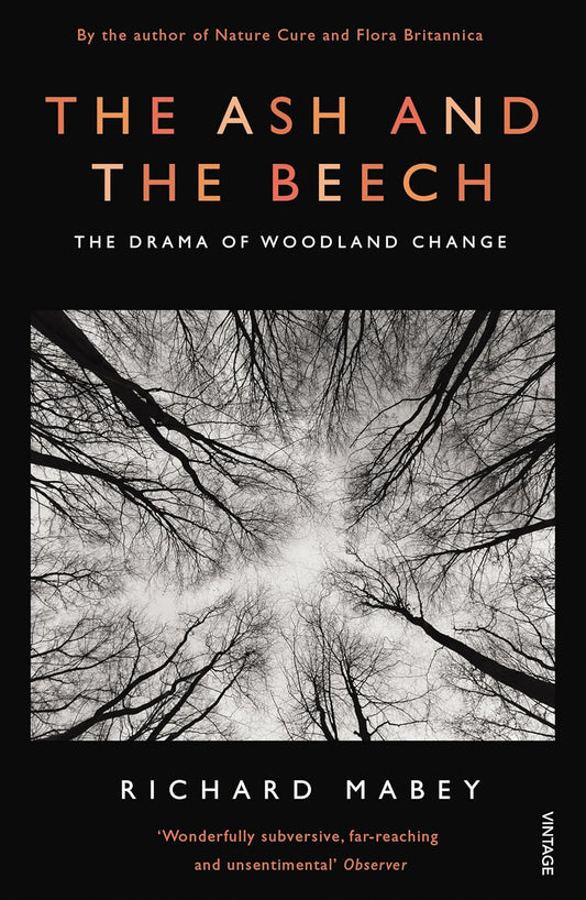 The Ash and The Beech: The Drama of Woodland Change Paperback